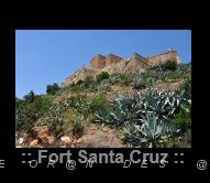 X4 FORT DE SANTA CRUZ.JPG